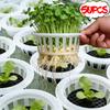 50/5pcs Hydroponic Planting Basket Air Permeable Seedling Raising Basin Plastic Planting Mesh Pot Garden Vegetable Soilless Grow
