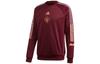 Manchester United Sweatshirts Men's Dark Reddish Purple Crew Neck Moderate Regular FR3863