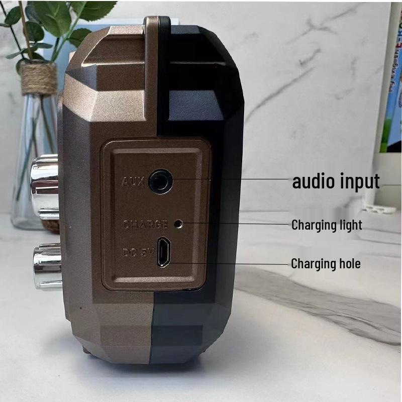 Elderly-Friendly Multi-Band Radio & Bluetooth MP3 Player with Hand-Crank