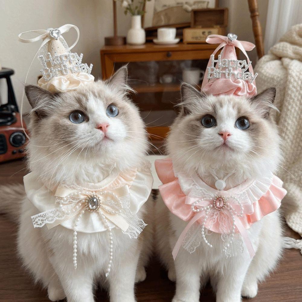 Pearl Bow Pet Birthday Hat Diamond Detail Pet Party Outfit  Birthday Party