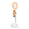Selfie-Spiegel mit LED