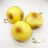 Crunchy Squeeze Potato Stress Ball Sensory Toy Crispy Potato Squeeze Ball Handmade Round Blocks Filled For Adult