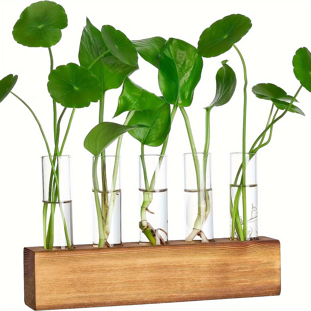 Wooden Frame Hydroponic Glass Test Tube Bottle Hydroponic Green Plant Container Test Tube Flower Vase Hydroponic Flower Vase