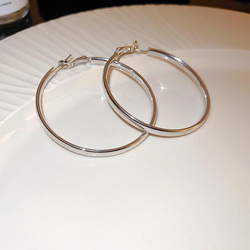 Stylish Silver Needle Round Hoop Earrings: Simple, Fashionable, Versatile, with a Light Luxury Feel