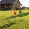 Wrought Red Bird Garden Stake - Rustic Outdoor Yard Decoration for and Patio