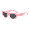 Oval Shape Sunglasses Women New Stylish Anti-reflective Sun Glasses for Women Fashion Trendy Ladies Sunglasses