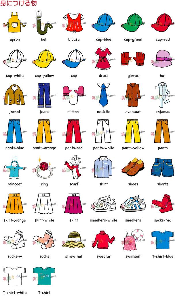 English Word Cards and Things To Flashcards, (Clothes Wear) A4 Size, Laminated