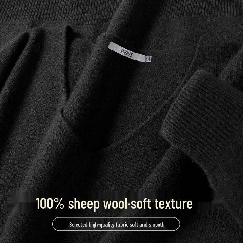 SNOWFLYING Women's 100% Merino Wool V-Neck Basic Knit Sweater