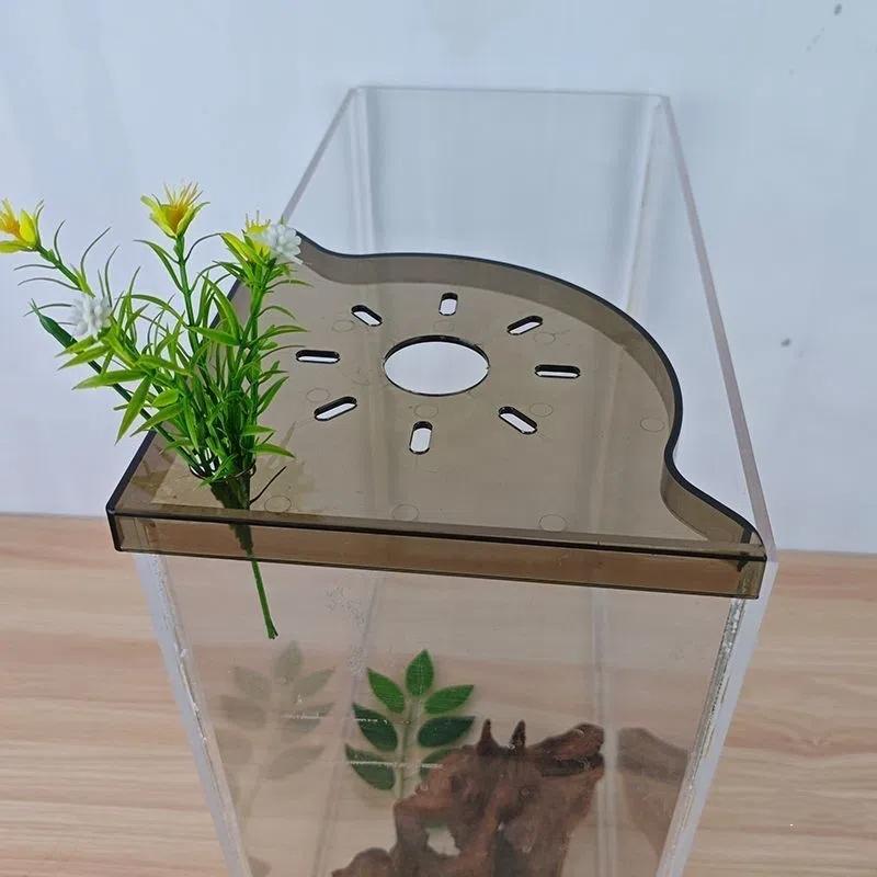 Fish Tank Corner Storage Rack Punch-Free Storage Rack Fish Tank Top Landscape Bracket Hydroponic Green Plant Tray