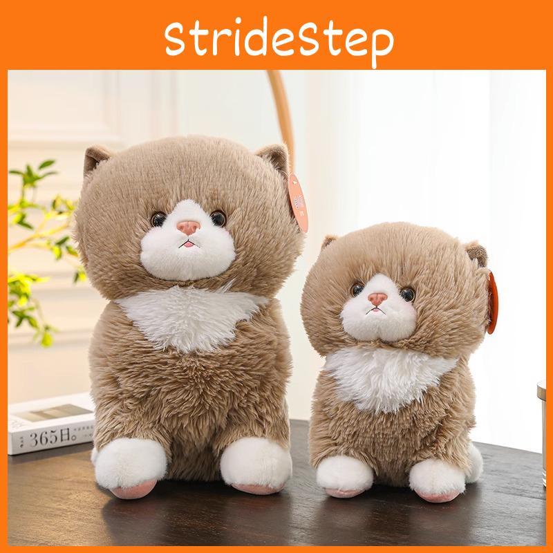Toys Cat Plush Animal Stuffed Dolls Children Gifts Home Bedroom Decorations