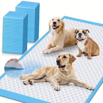 Hunde – Hundepflege-Artikel