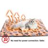 Selbstwärmende Katzenmatte Plüsch Thermische Hundematte mit Rutschfester Unterseite Nicht-Elektrische Haustierwärmematte mit Abnehmbarem Waschbarem Bezug für Innen- und Außenbereich
