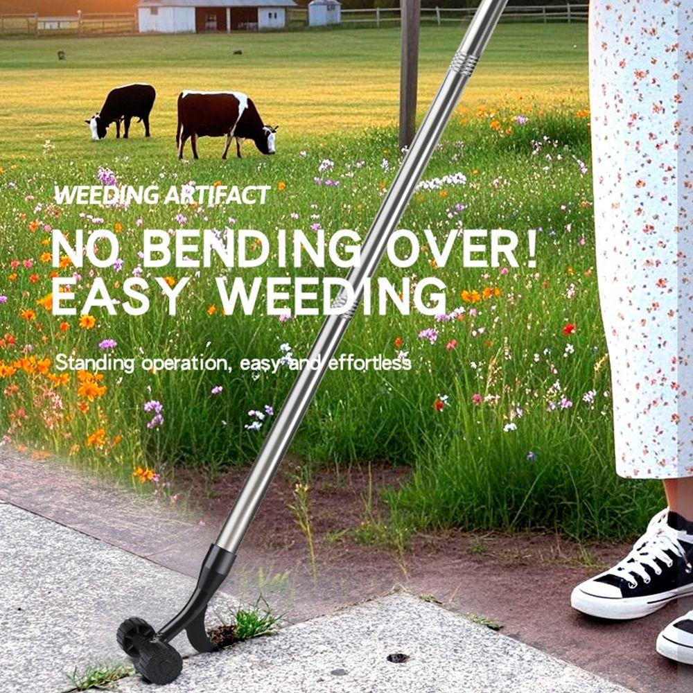 Cracks Crevice Weeds Remover Tool 2 in 1 Garden Tools Durable Weeds Pullers Garden Use