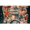 Round Diamond 5D DIY Diamond Painting "Dinosaur" 3D Embroidery Cross Stitch Mosaic Decoration Gift