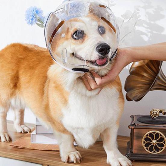 Pet Hood Anti-bite Breathable Adjustable Cat Muzzle Comfortable Transparent Cats Dogs Helmet Pet Supplies