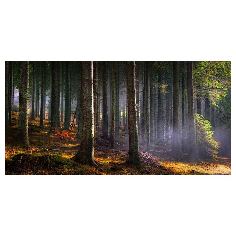 Водопад Живописный Мангровый Лес Пейзаж Холст Настенное Искусство Холст Картины Домашний — фото 18