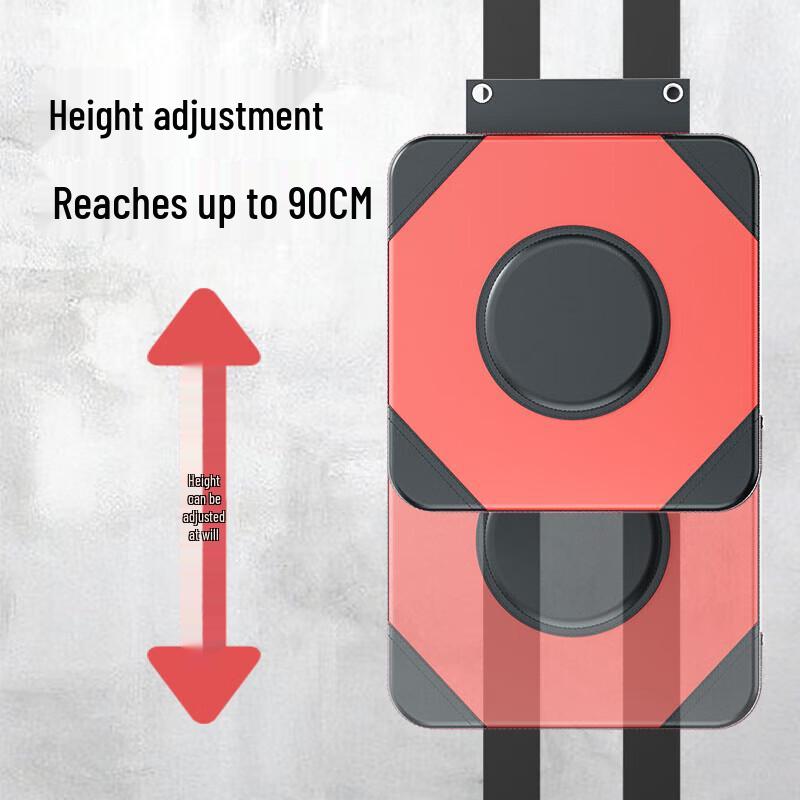 Zhan Yu Wall-Mounted Home Boxing Training Targets