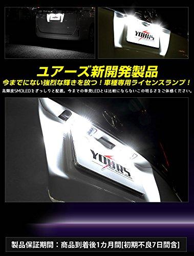 YOURS 80 Series Noah Voxy Esquire Exclusive LED License Lamp