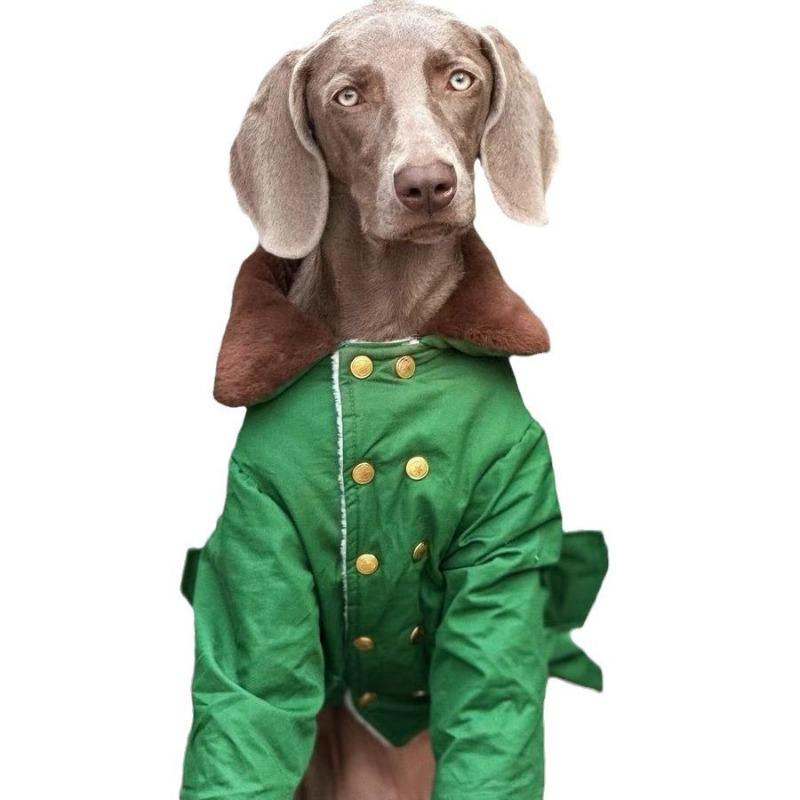 Pet Dog Dog Large Dog Winter Padded Jacket Thickened Warm Green Padded Coat Samo Labrador Golden Feather Padded Coat