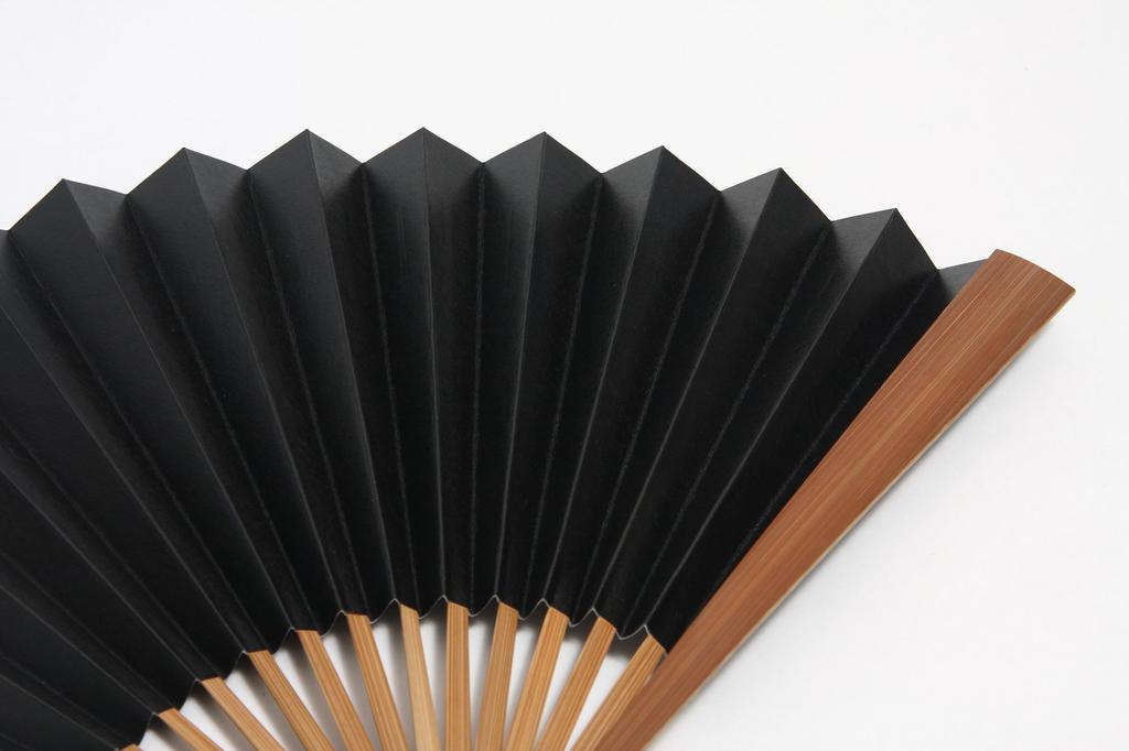 Hasegawa Large Size Folding Fan, Handmade by Kyoto Craftsmen, with Fan Case, In Wooden Box, Black