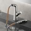 TLXT Pull-out Multi-function Basin Faucet