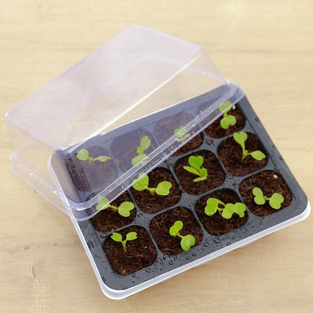 White Portable Nursery Box Set Breathable Plant Seedling Tray Germination Box  Bonsai