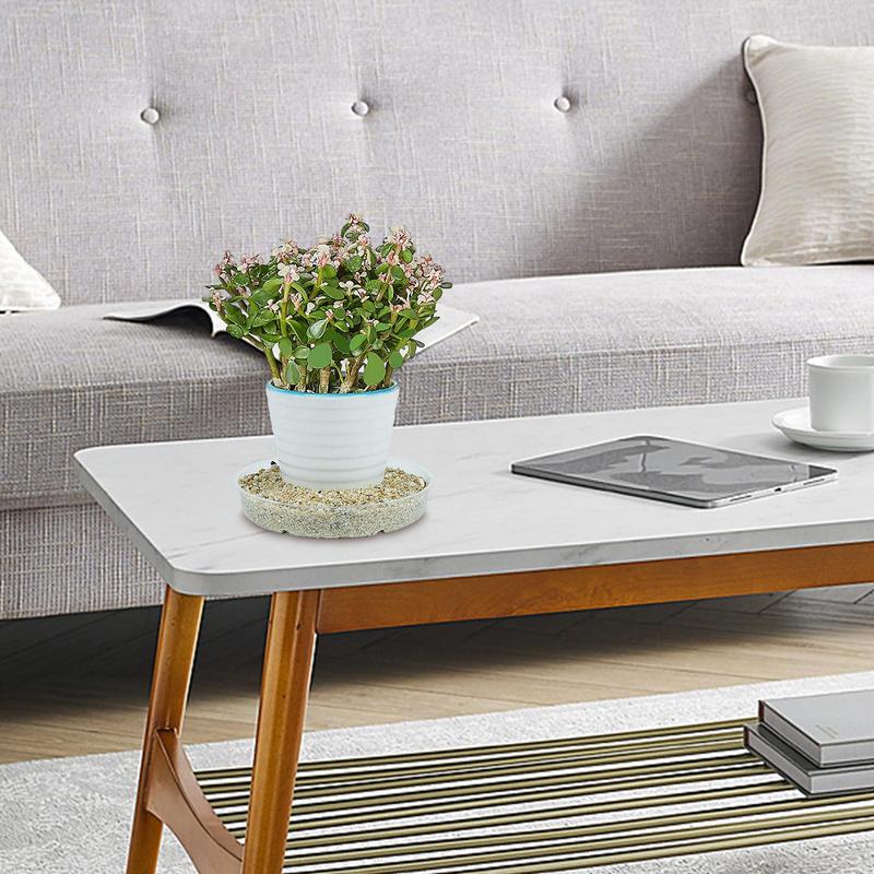 Flower Pot Tray Transparent Flower Pot Trays 5X Indoor and Outdoor Plant Saucer Pot Trays Plants Transparent Plant Tray