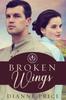 Libro Broken Wings