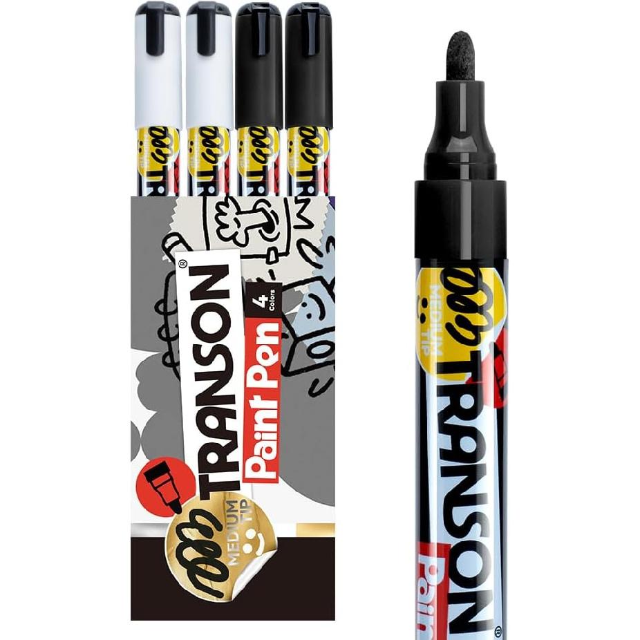 TRANSON 12 Colors Permanent Fabric Markers Oil Based Waterproof for Rocks Crafts Diy Painting Medium Tip