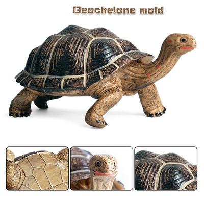 Simulation Geochelone Model Geochelone Tortoise  Biological Model Toys Plastic Ornaments