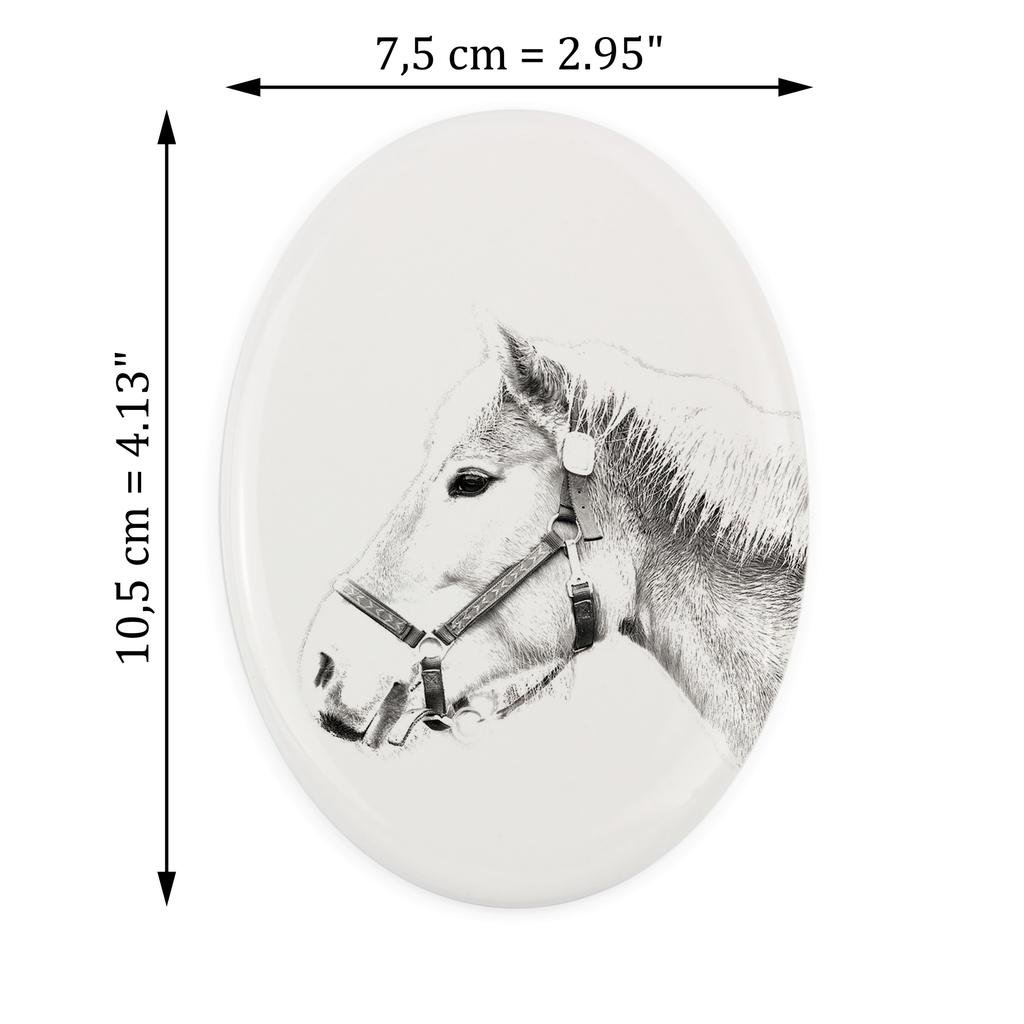 Haflinger – Commemorative plaque with a photo of a horse, tombstone plaque with a print | Art-Dog