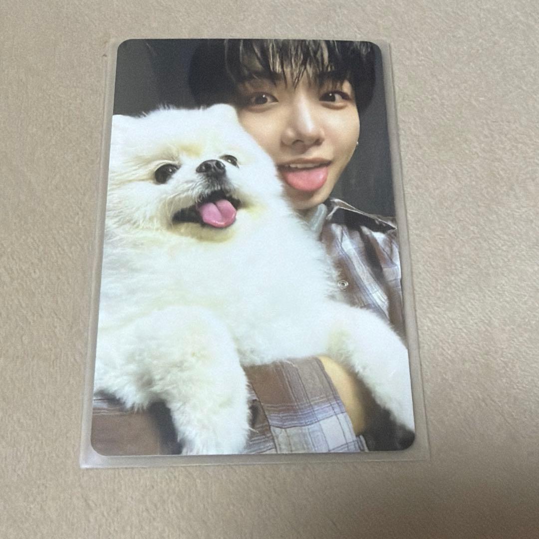 [USED] boynextdoor home weverse photocard Changyi Jaehyun