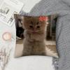 Cat Funny MEME Pillow Case Square Double-Sided Printing Short Plush Sofa Cushion Cover Bedroom Bedside Pillow