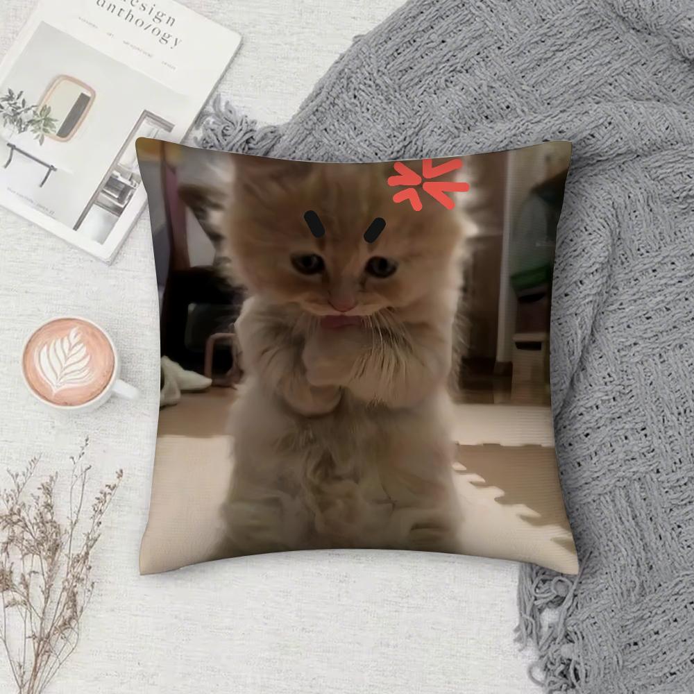 Cat Funny MEME Pillow Case Square Double-Sided Printing Short Plush Sofa Cushion Cover Bedroom Bedside Pillow