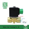 DN15 Miniature Direct-Acting Two-Way Solenoid Valve 110V, Normally Open (Model: 21A8ZV55D), Made in Italy