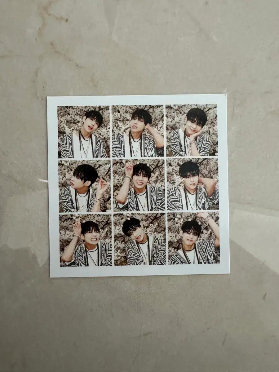 

V9 Cut Polaroid Poka Used