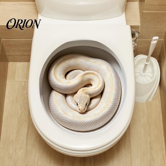 Creative Home Soft Decoration Realistic Snake Toilet Seat Sticker, PVC Waterproof Python Funny Vinyl Sticker Decal, Lid for Bathroom Wall Art