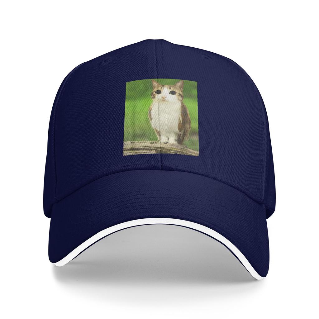 Spring Casual Baseball Cap Meowl Cat Owl Meme Funny Animal Hybrid Running Hippie Trucker Hat For Couple Trendy Baseball Caps