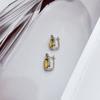 Silver Earrings with Citrine Nano 5.625ct (2170419)