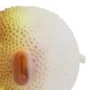 Aquarium Puffer Fish Luminous Simulation Rubber Fish with Suction Cup for Fish  S