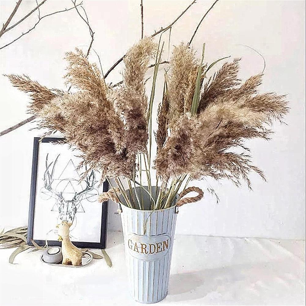 10/20Pcs Natural Real Dried Pampas Grass Bouquet Fluffy Feather Wedding Special Flower Ceremony Decoration Modern Home Decoration