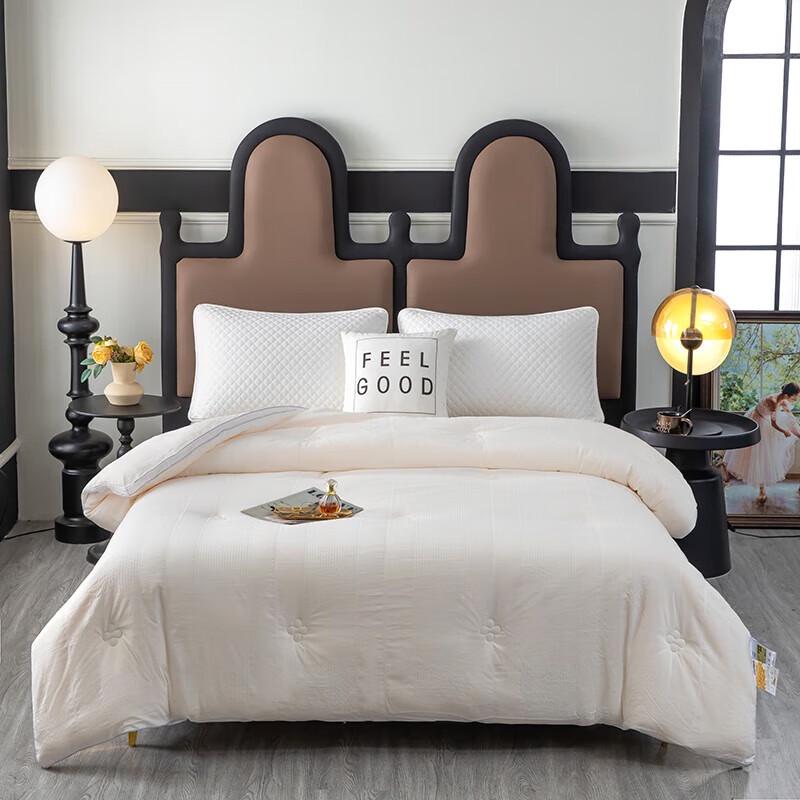 HMHM Cloud-feel Warm Core Soybean Quilt