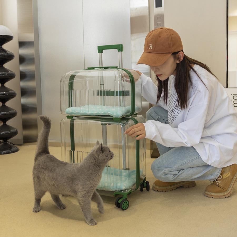 Tragbare Haustier-Gepäcktasche für Hunde und Katzen Transparenter Weltraum-Haustiertransportkorb Fluggesellschaften zugelassene Reisebox für Katzen und
