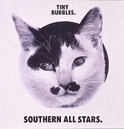 

CD SOUTHERN ALL STARS - Tiny Bubbles VDR30 Invitation 1984 Japan Rock