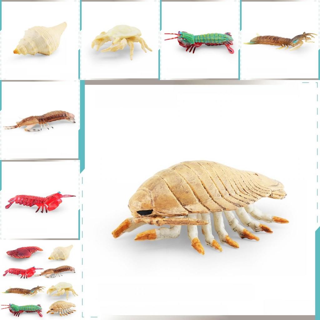 Underwater Animal Pvc Pipi Shrimp And Crab Sculptures Pack With Lifelike Marine Creatures For Aquarium Display