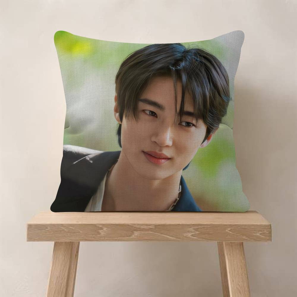 Korean Celebrity Byeon Wooseok   Cushion Cover Decorative Pillow Sofa Home Decor case pillow cases