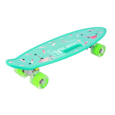 Longboard Liten Fisk Skateboard Handhållen Board för Ungdom Barn Nybörjare med Blinkande