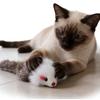 Self  Soothing And Entertaining Plush Mouse Toy For Amusing Cats(3PC)