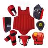 Long-chan Sanda Boxing & Grappling Protective Gear Set