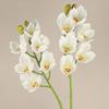 6 Heads Artificial Papilio Orchid Vivid Colors Bendable Stems Simulation Phalaenopsis Real Touch Lifelike Fake Flowers